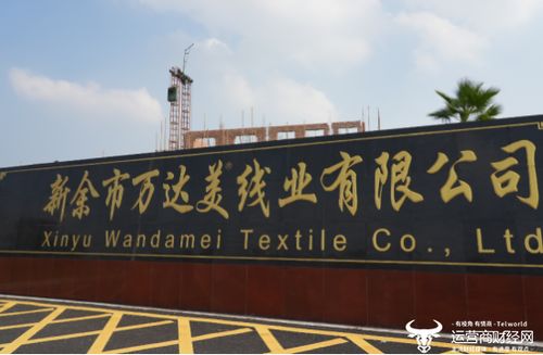 科技賦能，智慧共贏 這家運營商以創新服務樹立政企合作新范本